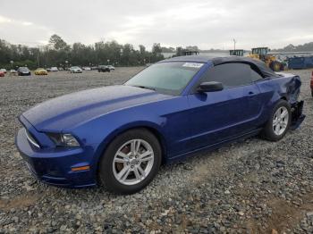  Salvage Ford Mustang