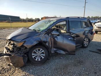  Salvage Honda Odyssey