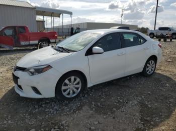  Salvage Toyota Corolla