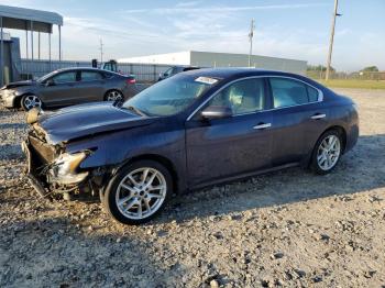  Salvage Nissan Maxima