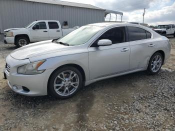  Salvage Nissan Maxima