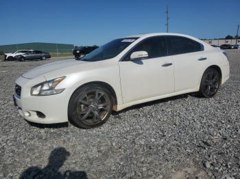  Salvage Nissan Maxima