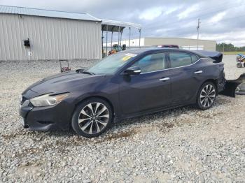  Salvage Nissan Maxima