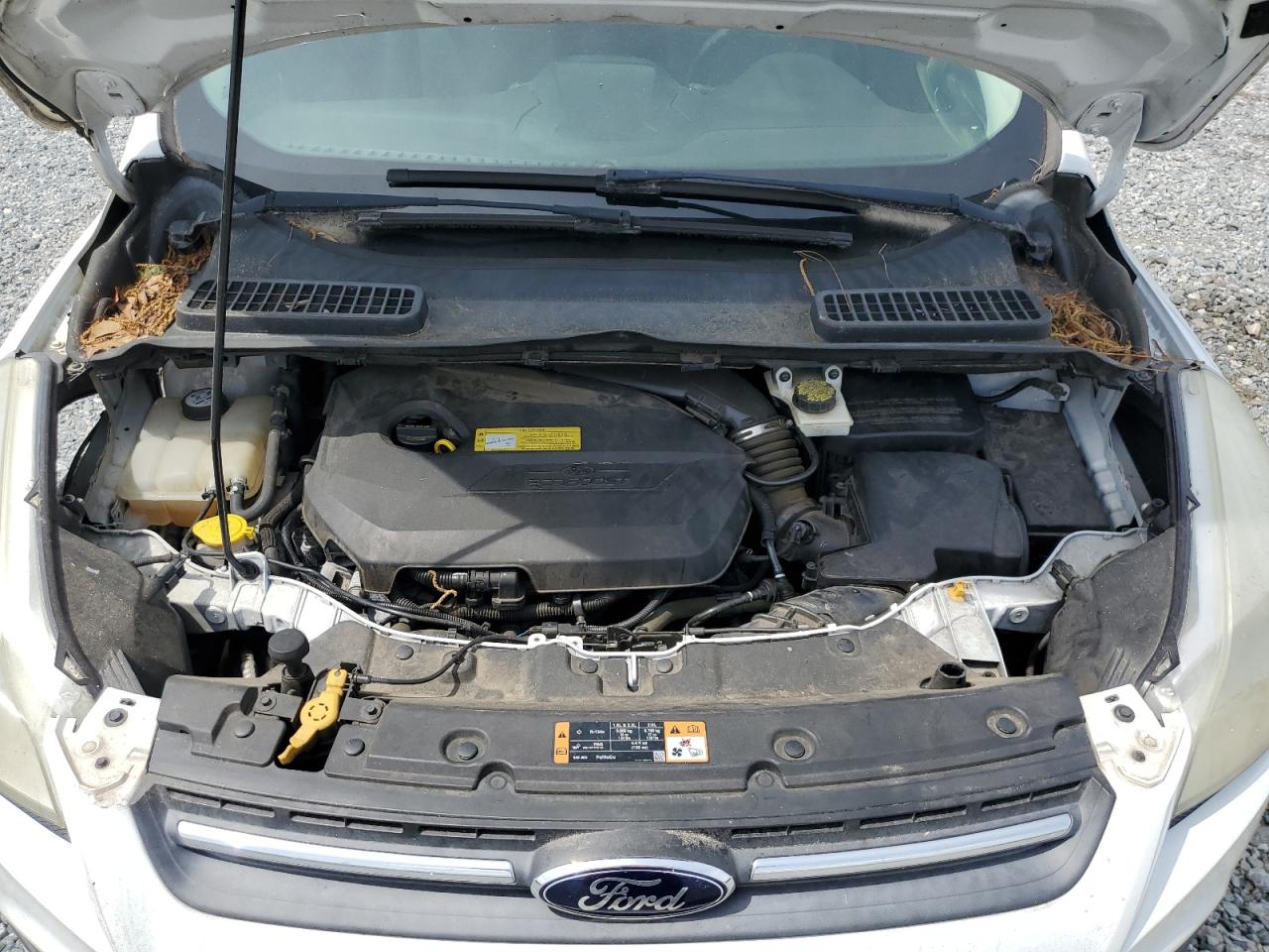 Ford Escape Se Image 10