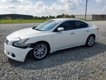  Salvage Nissan Maxima