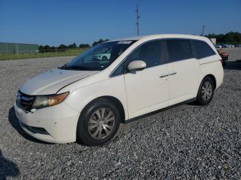  Salvage Honda Odyssey
