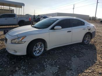  Salvage Nissan Maxima