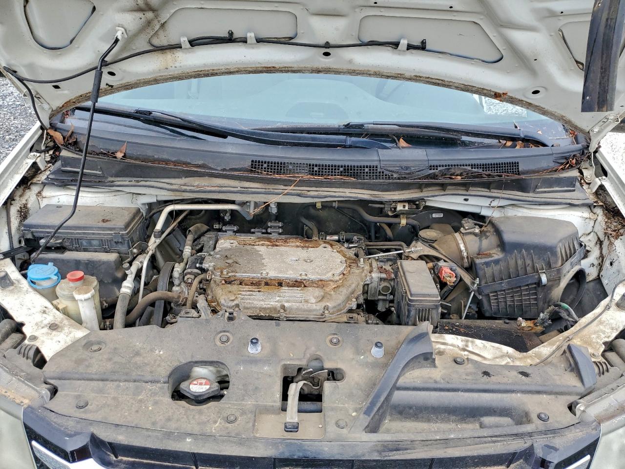 Honda Odyssey Lx Image 7