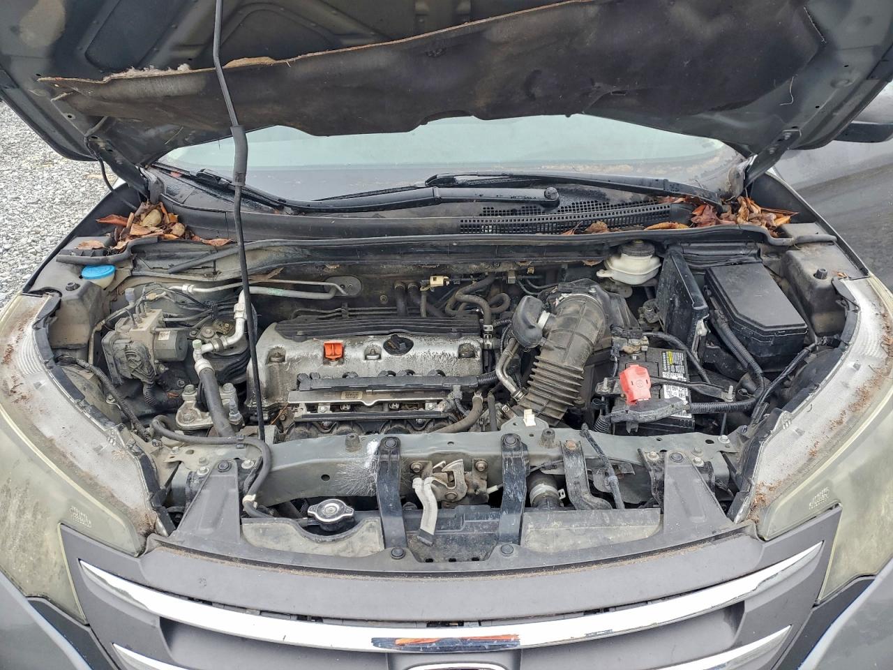 Honda Crv Lx Image 10