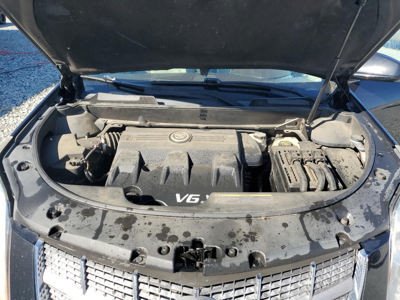 Cadillac SRX Luxury Collection Image 5