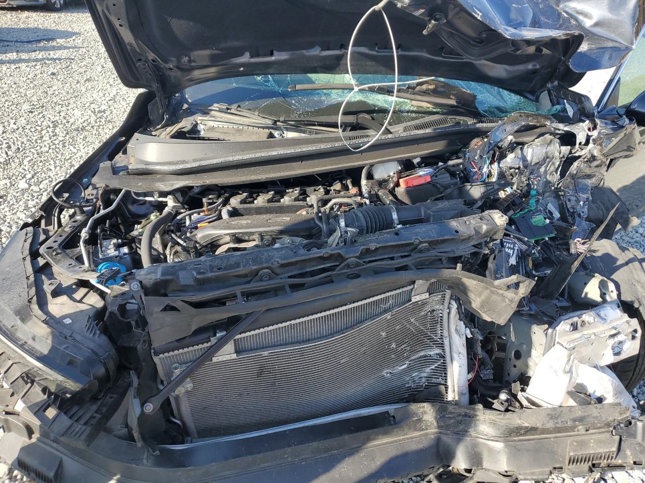 Honda Accord Ex Image 7