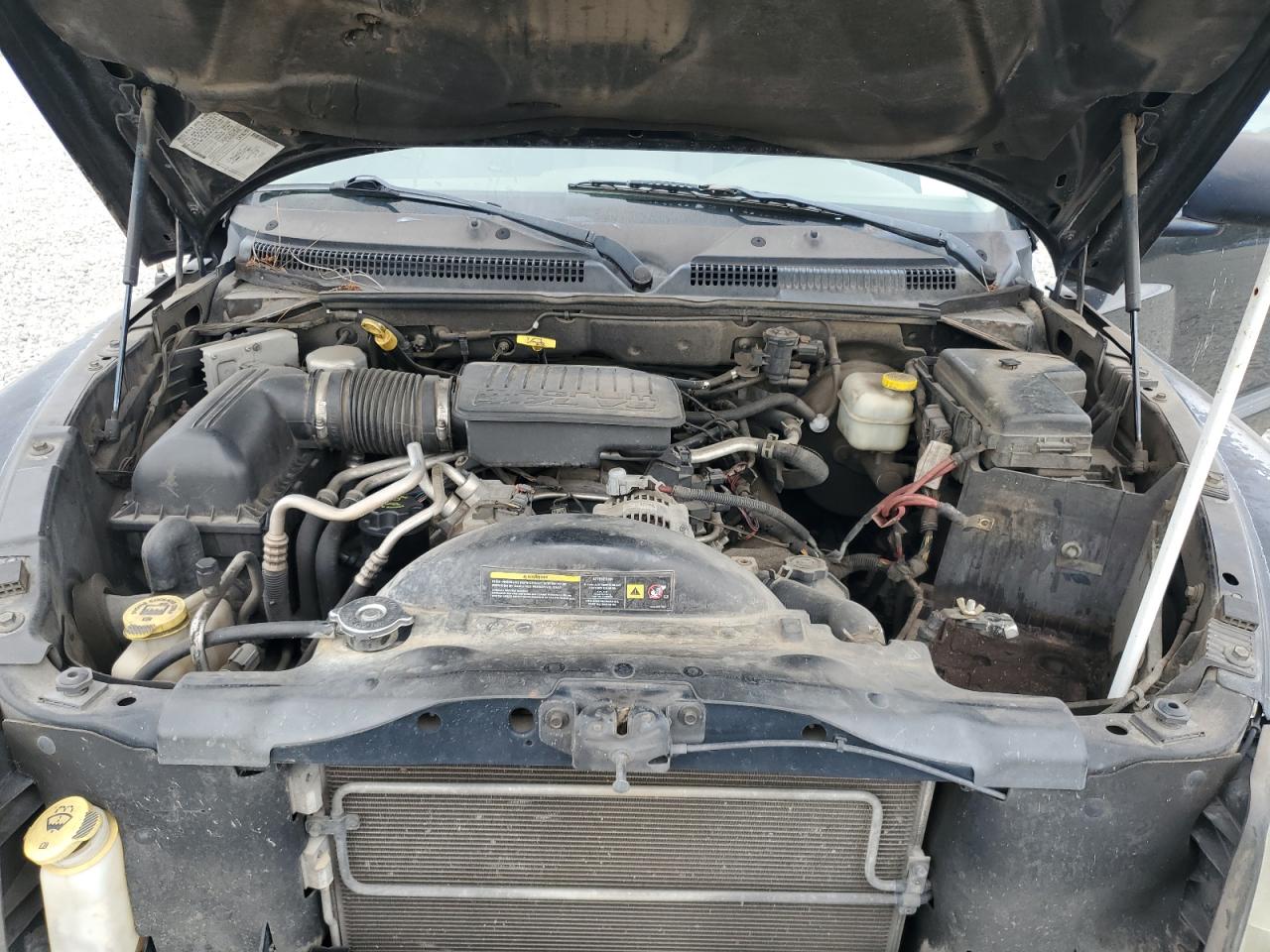 Dodge Dakota Quad Slt Image 10