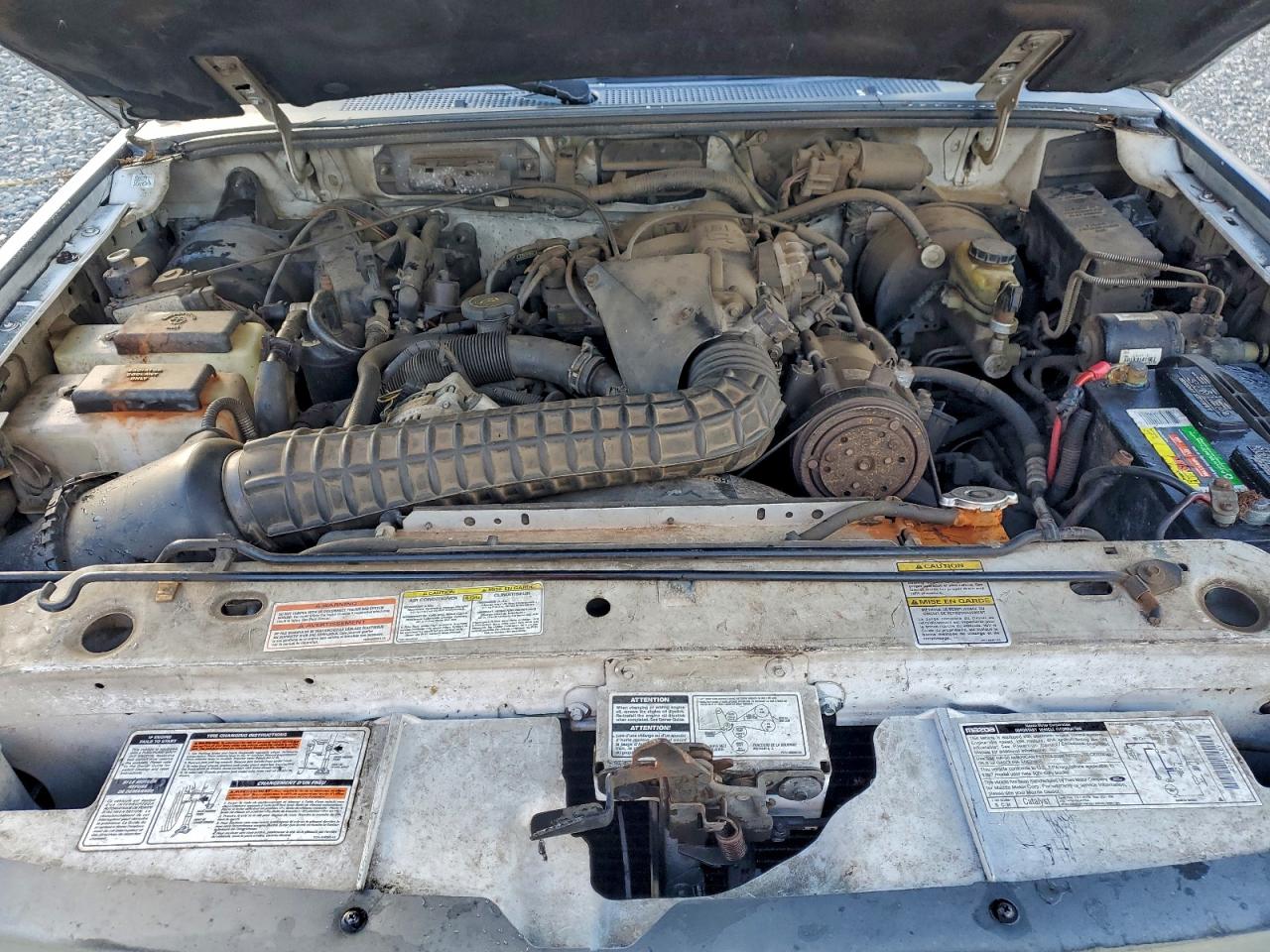 Mazda B Series Cab Plus Image 2