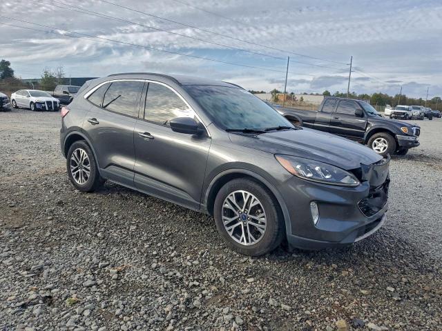 Ford Escape Sel Image 5