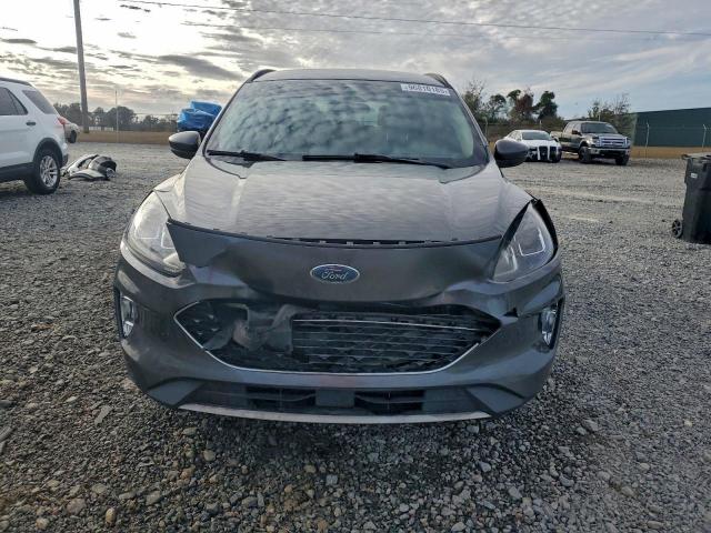 Ford Escape Sel Image 9