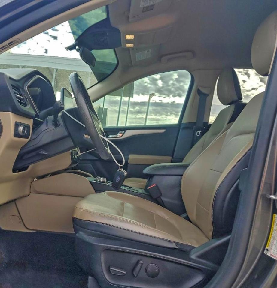 Ford Escape Sel Image 7