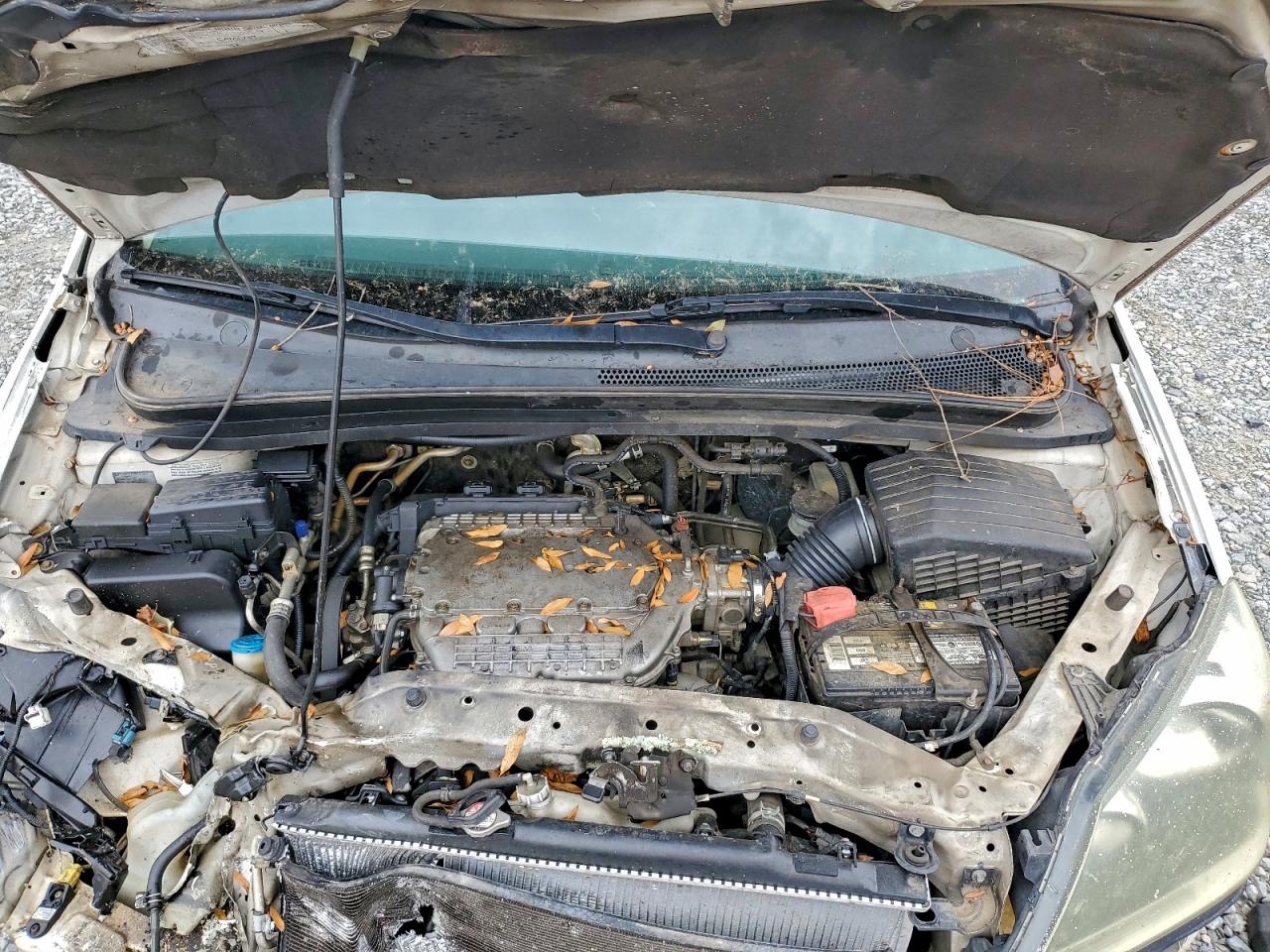 Honda Odyssey Exl Image 13