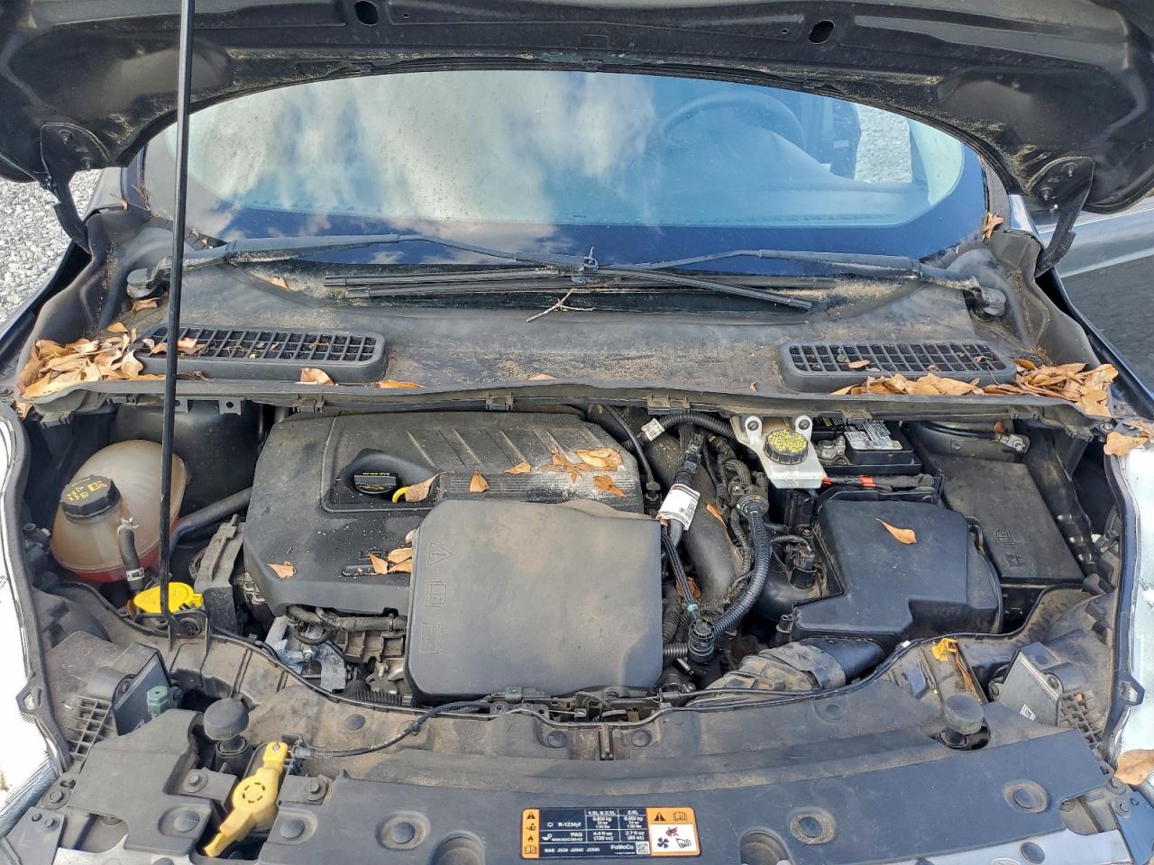 Ford Escape Se Image 13