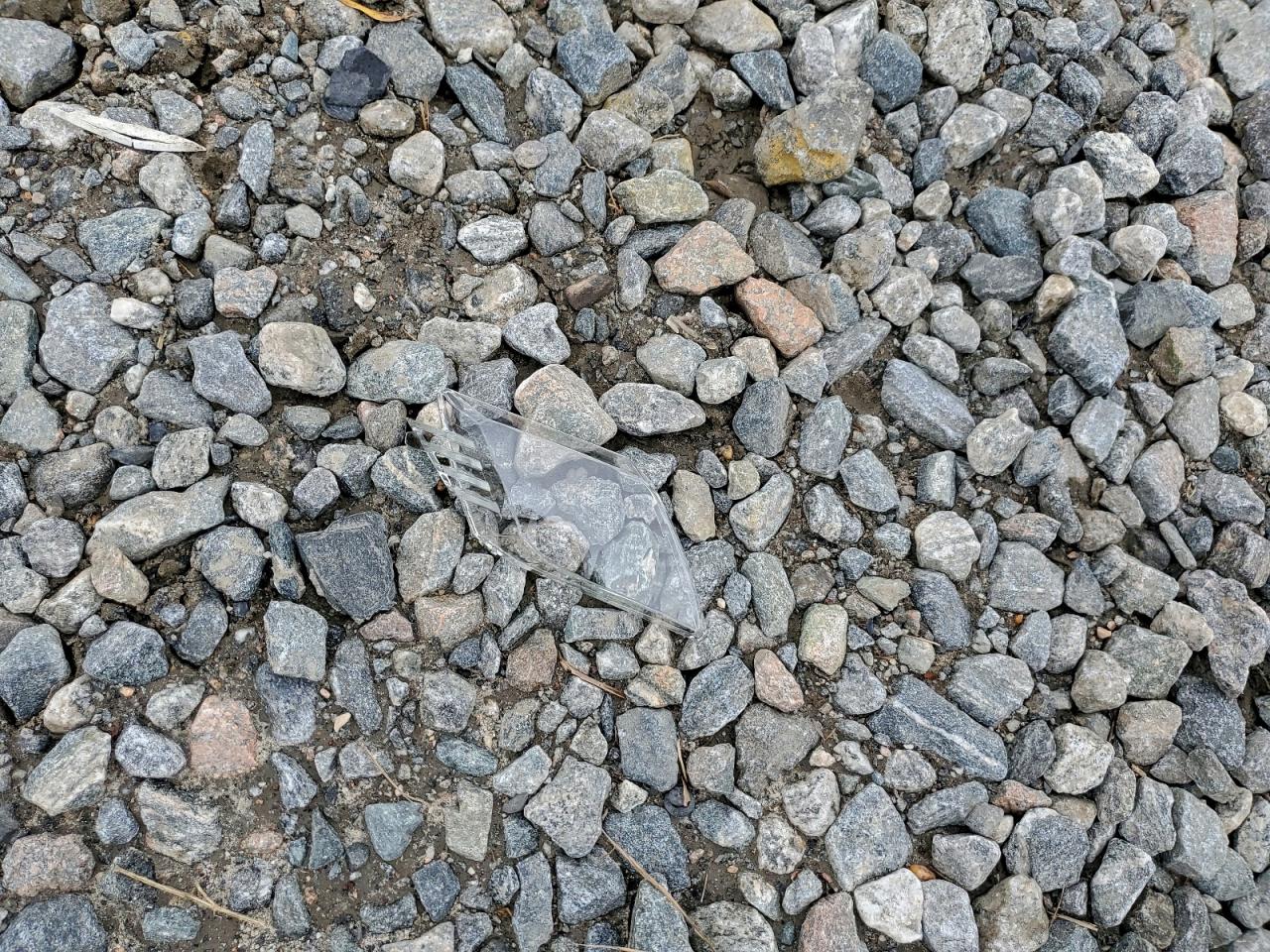 Toyota Camry Le Image 11