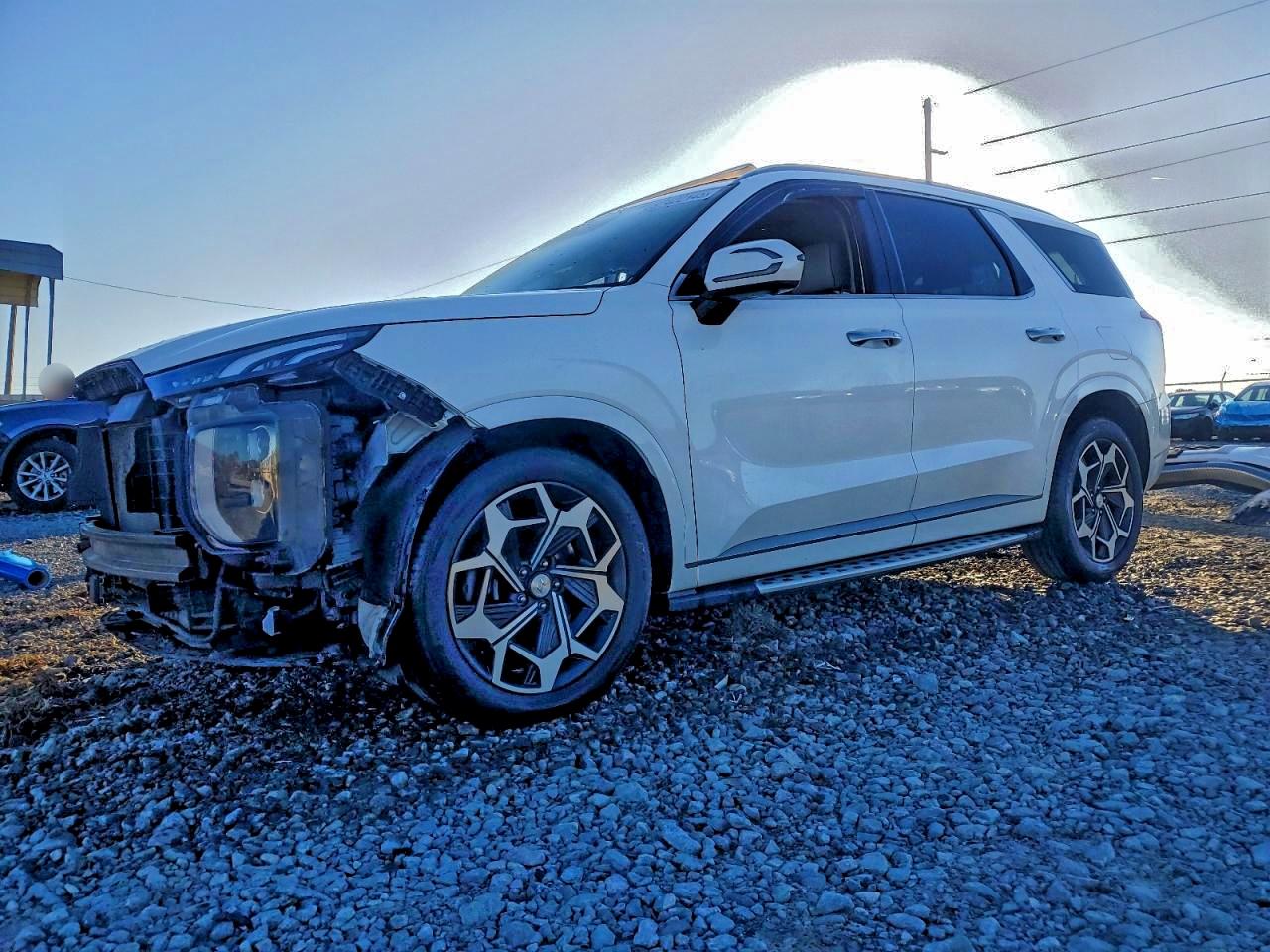 Hyundai PALISADE Calligraphy Image 1