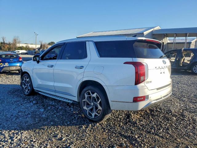 Hyundai PALISADE Calligraphy Image 2