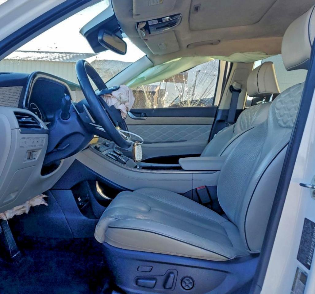 Hyundai PALISADE Calligraphy Image 5