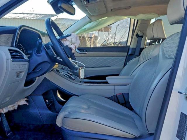 Hyundai PALISADE Calligraphy Image 5