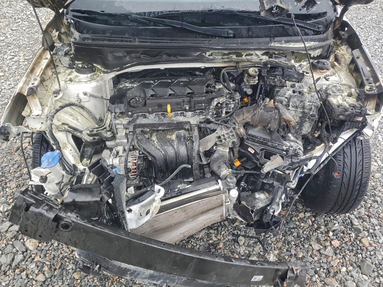 Hyundai VENUE Sel Image 12