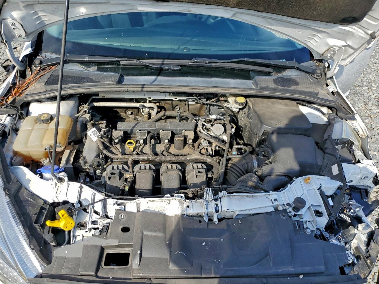 Ford Focus Se Image 4