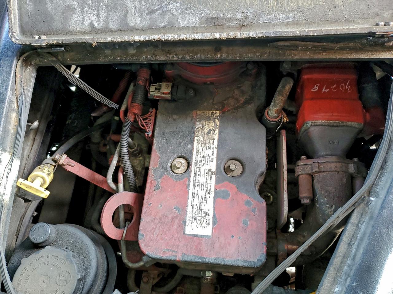 Thomas School Bus Image 9