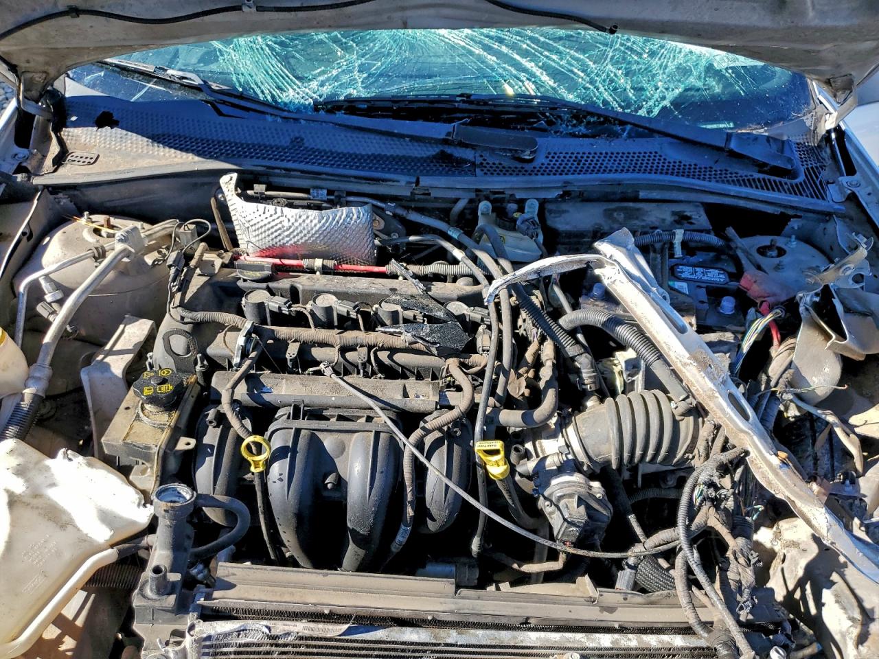 Ford Focus Sel Image 12