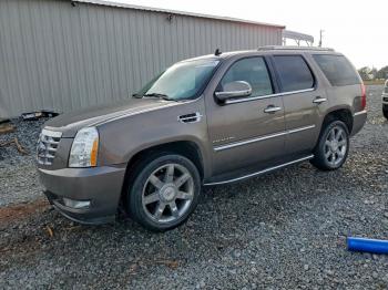  Salvage Cadillac Escalade