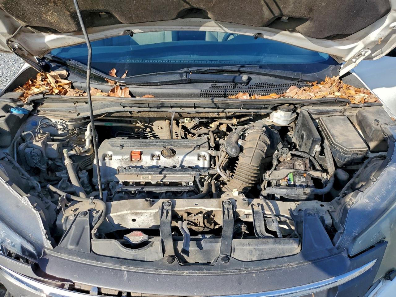 Honda Crv Lx Image 9