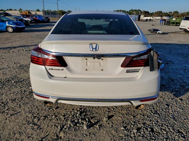 Honda Accord Sport Special Edition Image 6