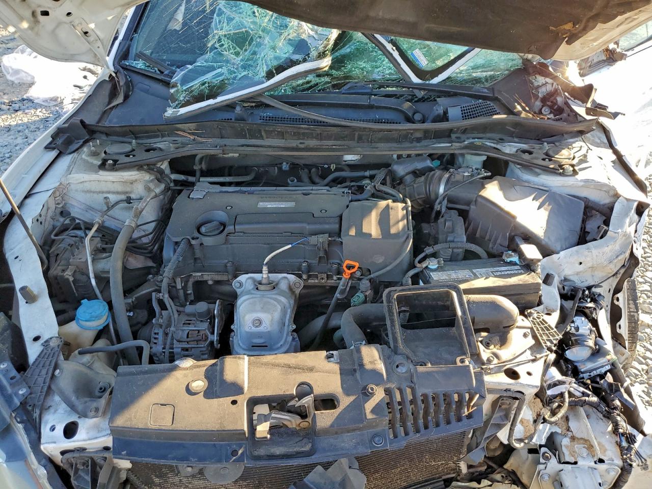 Honda Accord Sport Special Edition Image 5